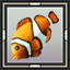 Clownfish