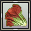Red-Leaf Lettuce