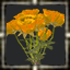 Marigold Bouquet