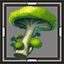 Groxmax Mushroom