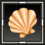 Scallop Shell