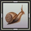 Snail