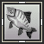 Striped Bass