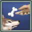 Animal Handling