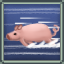 Porcine Speed