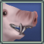 Strange Pig