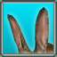 Long Ear