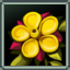 Guide Beacon - Flowers