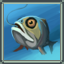 Angling