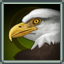 Eagle Form