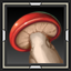 Mushroom Luck