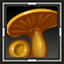 Blood Mushroom
