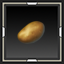 Potato Seedling