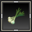 Onion Seedling