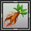 Mandrake Root