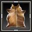 Trophy Deer Skin