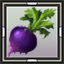 Beet