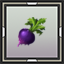Beet Seedling