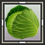 Cabbage