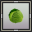 Cabbage Leafling