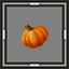 Pumpkin Seedling