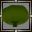 Spider Carapace