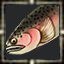 Dried Clownfish