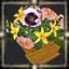 Mycologist's Arrangement #2