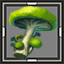 Groxmax Mushroom