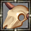 Astonishing Large Animal Skull