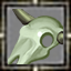 Animal Skull
