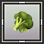 Broccoli Seedling