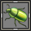 Beetle