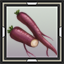 Rattus Root