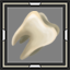Lucky Human Tooth