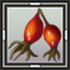 Sprigganberries