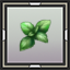 Basil Seedling