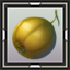 Cantaloupe