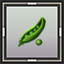 Pea Seedling