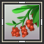 Cranberries