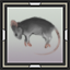Dead Vole