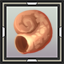 Large Conch