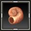 Small Conch