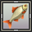 Yellow Perch