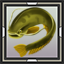 Catfish