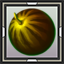 Swamp Gourd
