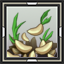 Soybean Sprout