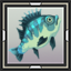 Bluegill
