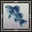 Walleye
