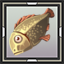 Tench